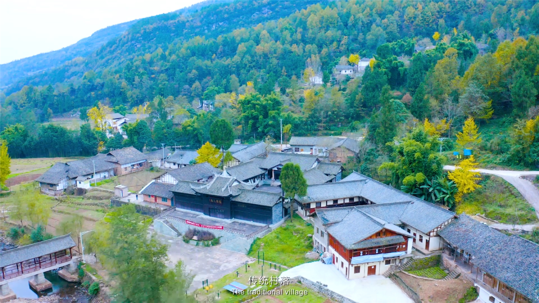 「创建天府旅游名县」国家一级演员许文广：走进四川通江