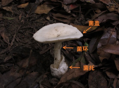 微信图片_20220611144531.png