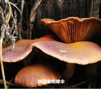 微信图片_20220611144551.png