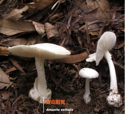微信图片_20220611144543.png