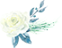 d14f6925141a8329ee17b10f9f72965b.png