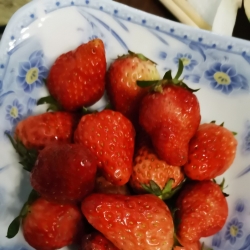 高明有一水吧，现在不做了，里面有